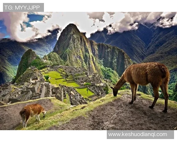 阿根廷对尼加拉瓜精彩比赛录像回放全程回顾与分析